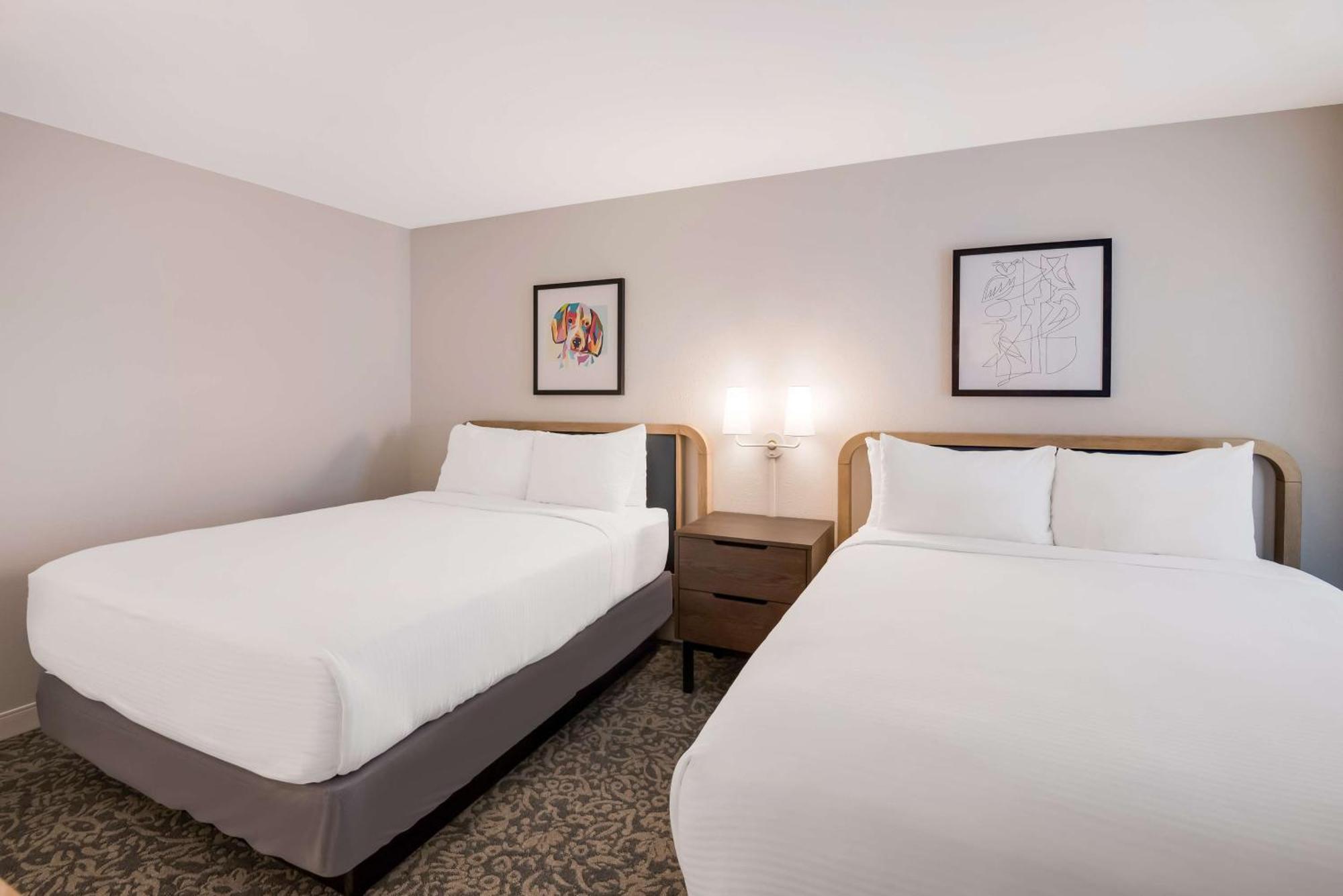 Sonesta Es Suites Andover Boston Екстериор снимка