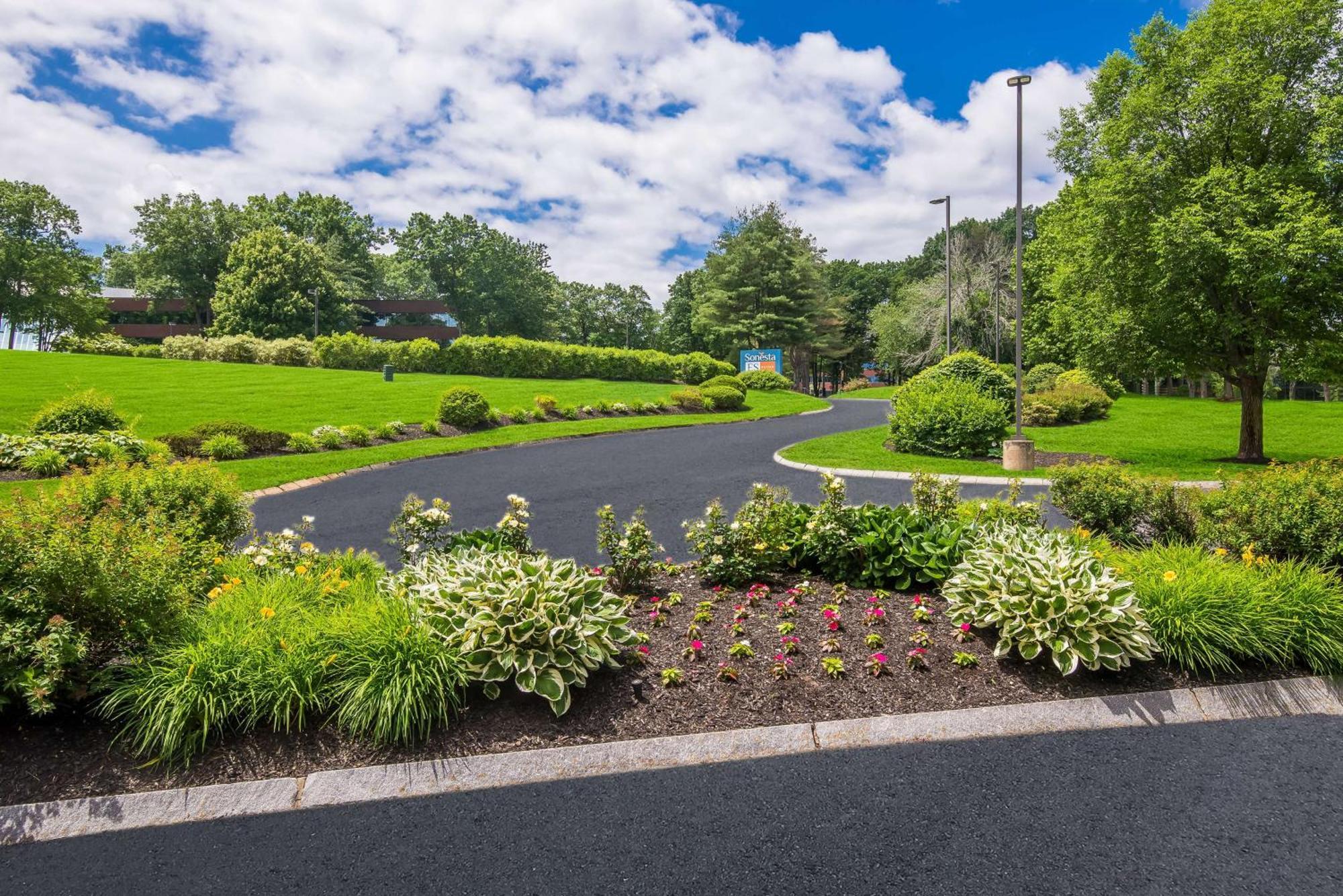 Sonesta Es Suites Andover Boston Екстериор снимка